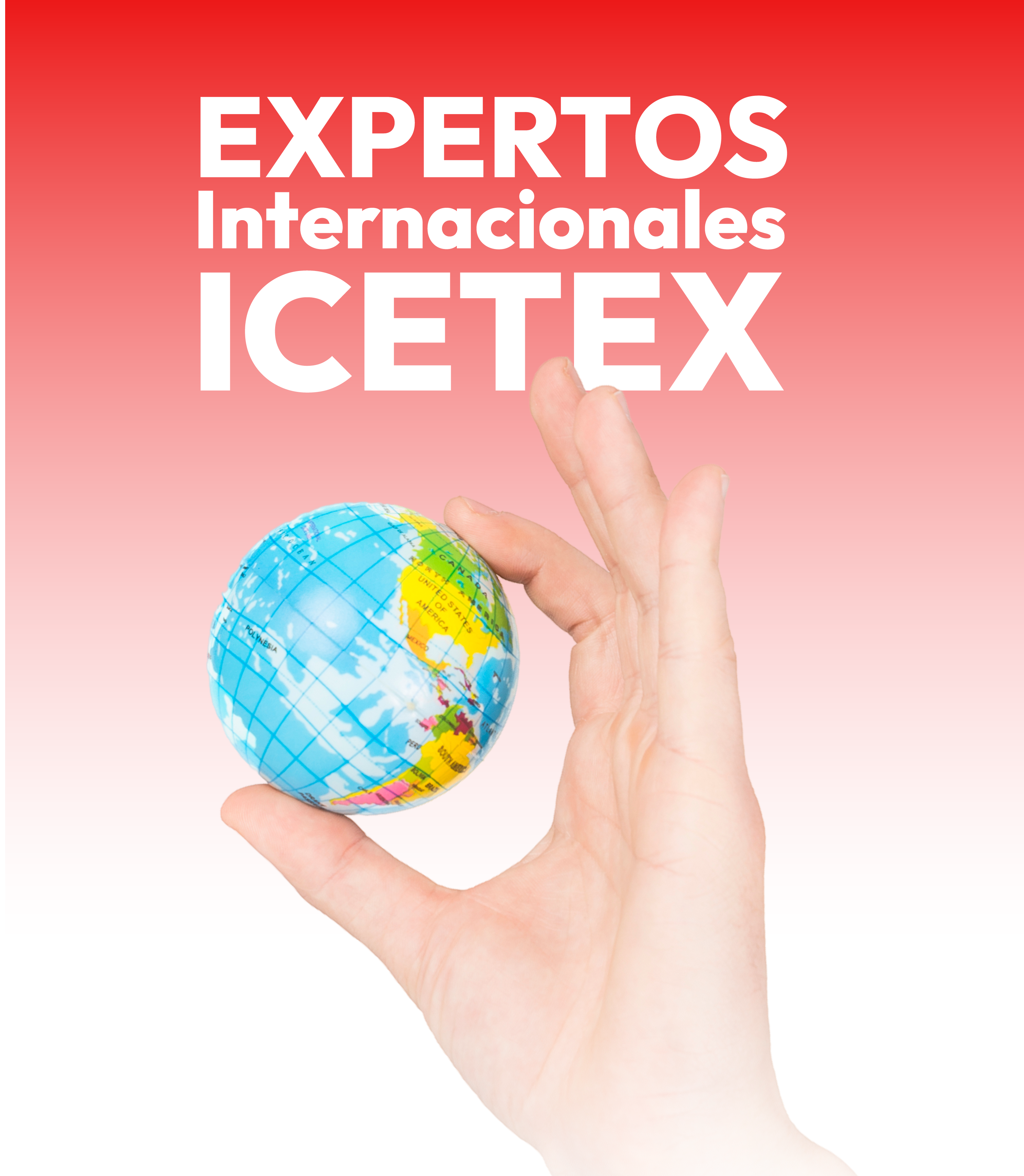 Expertos Internacionales