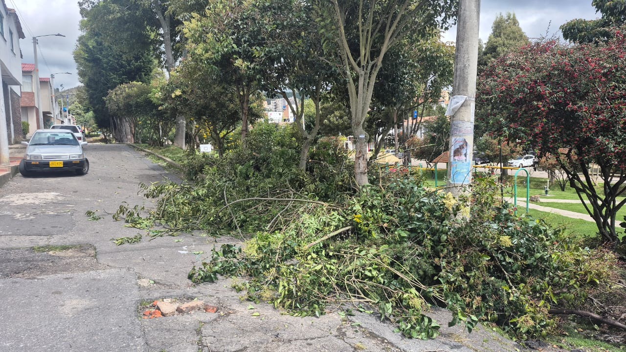 Problemáticas principales del barrio que disminuyen la estética y fracturan la armonía del entorno.