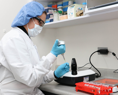 Espacios de Estudio Bacteriología y Labortario Clínico